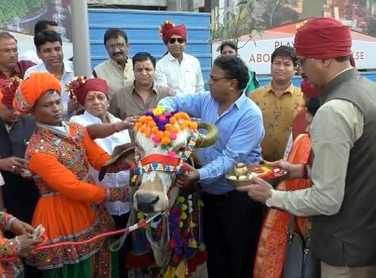 दूल्हे के हाथों में CAA की मेहंदी, बारात में गाय...गुजरात की अनोखी शादी