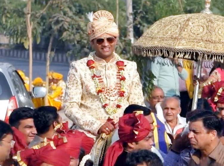 दूल्हे के हाथों में CAA की मेहंदी, बारात में गाय...गुजरात की अनोखी शादी