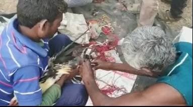 मुर्गों की लड़ाई में जीतने वाले मुर्गे के मालिक की क्यों गई जान?