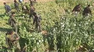 झारखंड के इस किसान ने उगाई 2 करोड़ की फसल, फिर भी हो गया बर्बाद