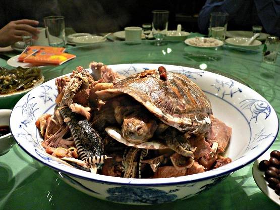 कोरोना वायरस को बेअसर कर सकता है लहसुन? WHO ने कही ये बात