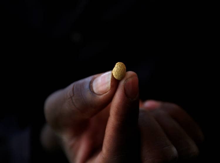 सोनभद्र का सोना भंडार बदलेगा किस्मत, इन देशों को अब पछाड़ देगा भारत