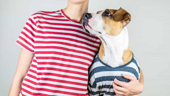 12,000 KM दूर से आकर गंगा में विसर्जित की कुत्ते की अस्थियां