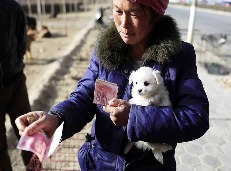 कोरोना से सबक नहीं, चीन में अब भी कुत्तों को जिंदा भूनकर खा रहे लोग