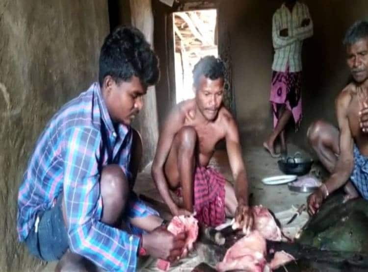 इस नदी से निकलती है विशालकाय 'शार्क', पानी के बाहर भी कई घंटे रहती है जिंदा