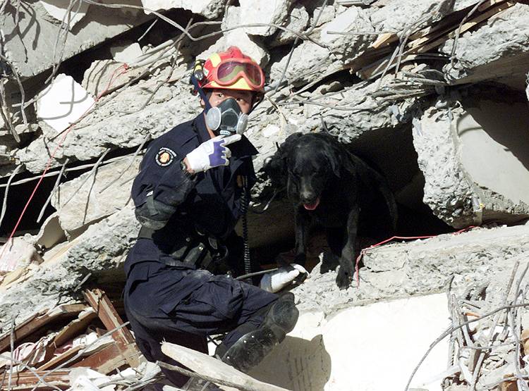 दिल्ली से बंगाल तक आ सकता है भयानक भूकंप, IIT कानपुर का खुलासा!