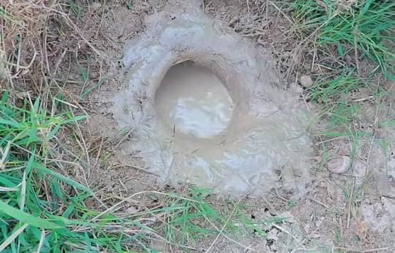 सूखी जमीन में डाले देसी अंडे, फिर निकली इतनी मछलियां कि सब हैरान