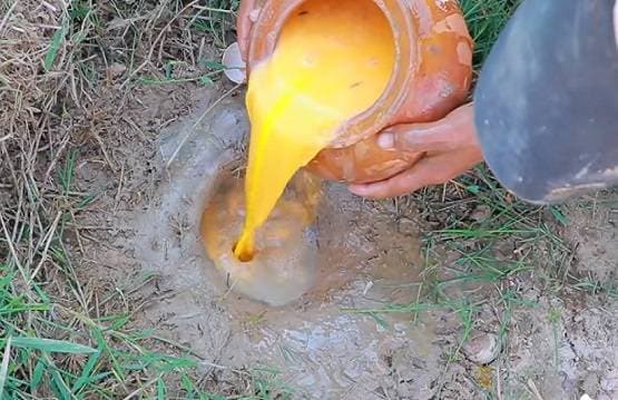 सूखी जमीन में डाले देसी अंडे, फिर निकली इतनी मछलियां कि सब हैरान