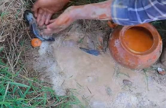 सूखी जमीन में डाले देसी अंडे, फिर निकली इतनी मछलियां कि सब हैरान