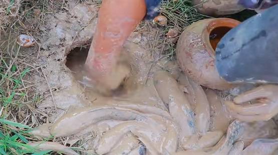 सूखी जमीन में डाले देसी अंडे, फिर निकली इतनी मछलियां कि सब हैरान