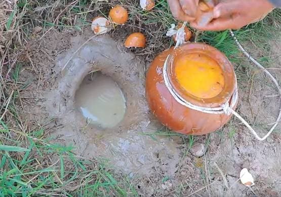 सूखी जमीन में डाले देसी अंडे, फिर निकली इतनी मछलियां कि सब हैरान