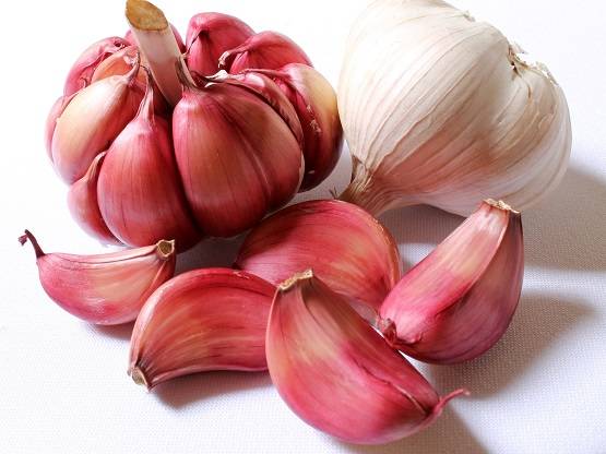 कोरोना वायरस को बेअसर कर सकता है लहसुन? WHO ने कही ये बात