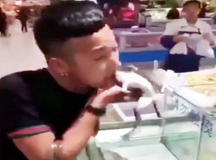 यौनशक्ति बढ़ाने के लिए जिंदा मेंढक खा गया चीनी युवक, वीडियो वायरल