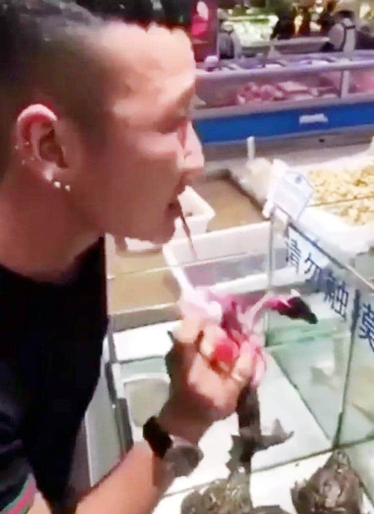 यौनशक्ति बढ़ाने के लिए जिंदा मेंढक खा गया चीनी युवक, वीडियो वायरल