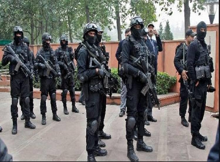 ट्रंप की सुरक्षा में लंगूरों की तैनाती, कैसे सुरक्षा करेगा ये जानवर