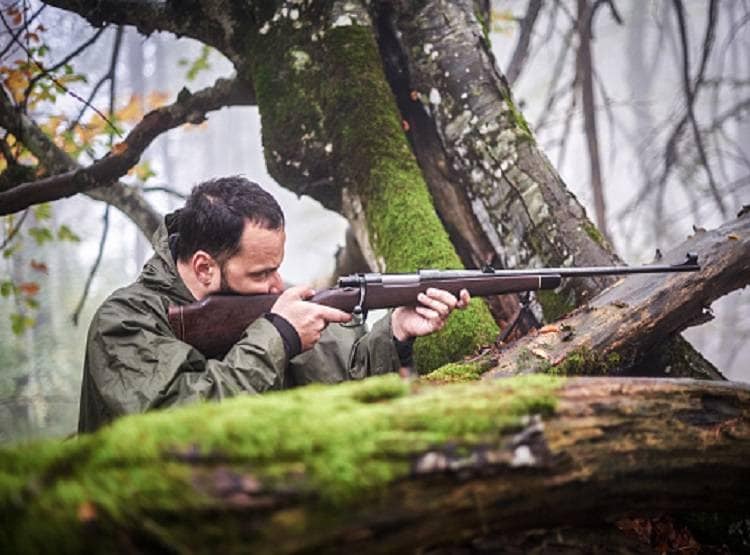 बाघों को बचाने के लिए इस राज्य में शिकारियों को गोली मारने का आदेश