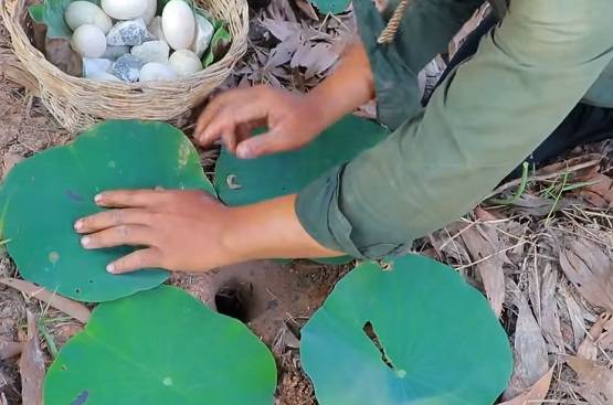 सांप के बिल में डाला कोल्डड्रिंक, निकले इतने सांप कि देखकर चौंक जाएंगे