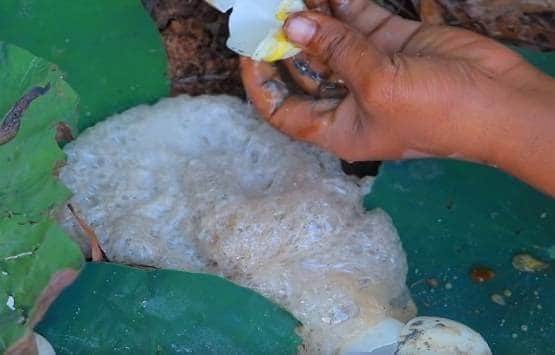 सूखी जमीन में डाले देसी अंडे, फिर निकली इतनी मछलियां कि सब हैरान