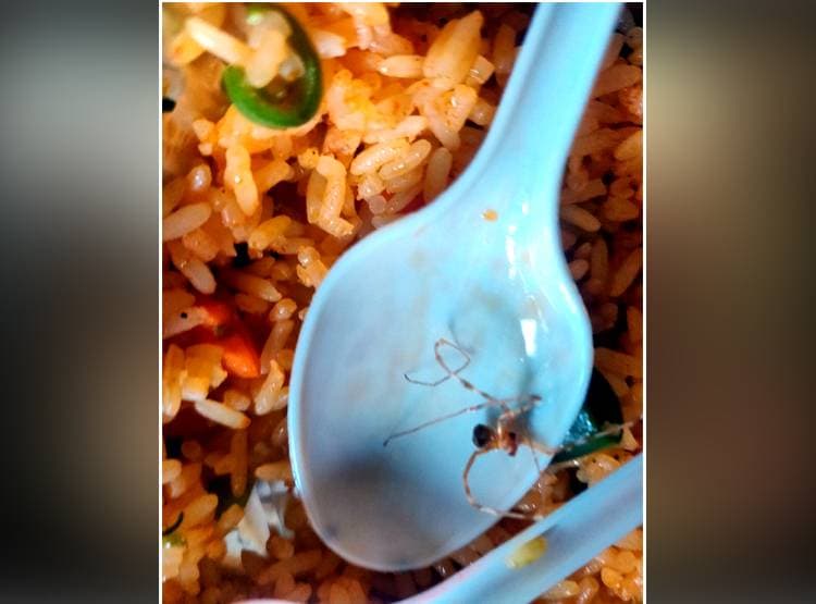 रेलवे के खाने में न‍िकली मकड़ी, भड़के पैसेंजर ने Twitter पर की श‍िकायत