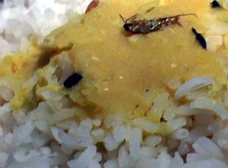 रेलवे के खाने में न‍िकली मकड़ी, भड़के पैसेंजर ने Twitter पर की श‍िकायत