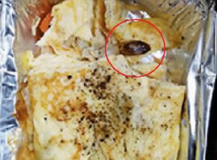 रेलवे के खाने में न‍िकली मकड़ी, भड़के पैसेंजर ने Twitter पर की श‍िकायत
