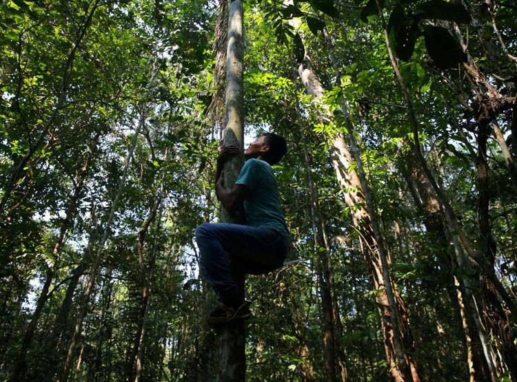घास काटने शेर के बाड़े में घुसा, फिर जो हुआ देखकर लोगों की रुह कांप गई
