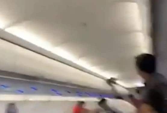 उड़ान से पहले फ्लाइट में घुसा कबूतर, फिर मच गई अफरातफरी