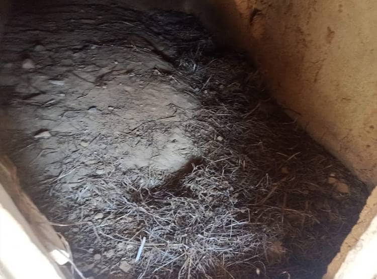 प्रेमी की कब्र पर सोती थी प्रेमिका, जब खुदाई हुई तो पुलिस भी दंग रह गई