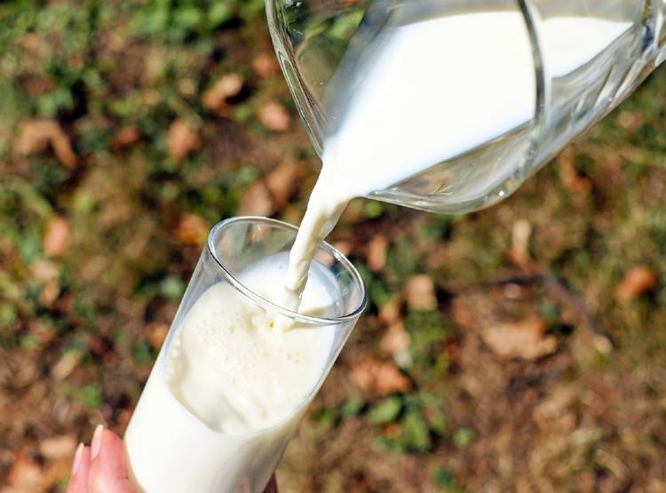 शैम्पू से बन रहा था दूध, मिलाते थे इतना खतरनाक केमिकल कि पीन से फटता लिवर