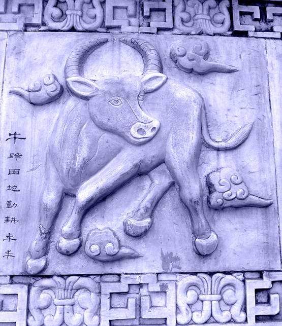 जन्म के साल से जानिए, आपके लिए कैसा रहेगा 2020