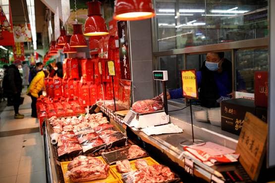 मीट के लिए जिंदा बेचे जा रहे जंगली सांप, चूहे-हिरण, फैल सकता है Coronavirus