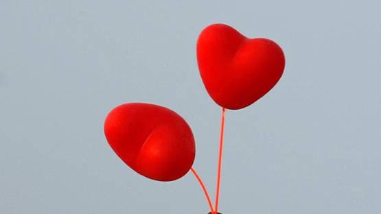 वैलेंटाइन्स डे पर होटल में छापा, 2 दर्जन अनमैरिड कपल अरेस्ट