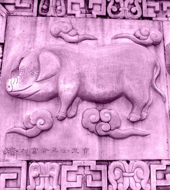 जन्म के साल से जानिए, आपके लिए कैसा रहेगा 2020