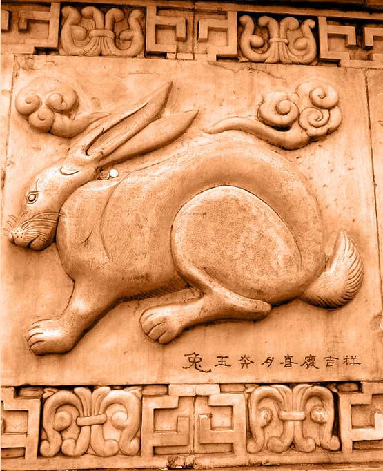 जन्म के साल से जानिए, आपके लिए कैसा रहेगा 2020