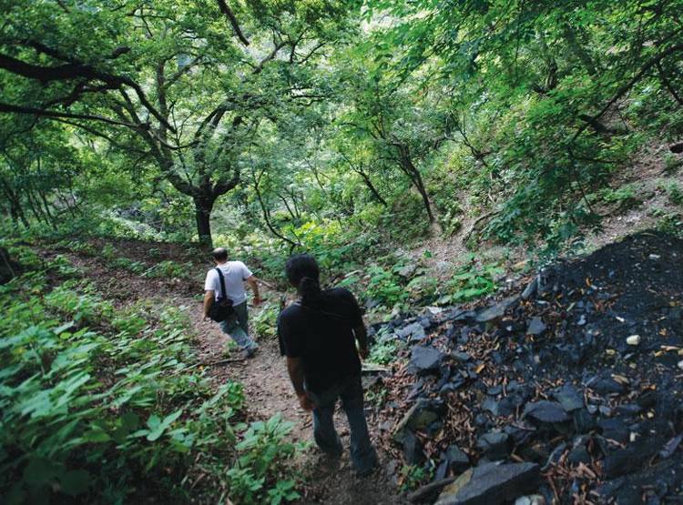 सोनभद्र में हुई खुदाई तो उजड़ जाएगा आदिवासियों का ये बेशकीमती 'खजाना'