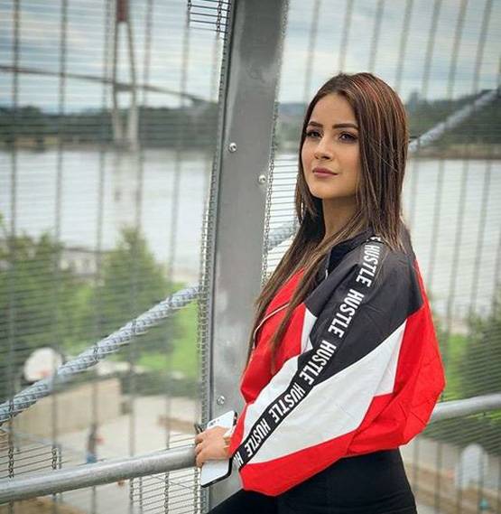 फर्जी शादियों से कैसे टीआरपी बटोर रहे टीवी चैनल्स, पुराना है ये फॉर्मूला