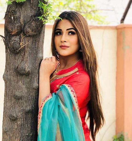 BB13: फिनाले से पहले बिग बॉस ने पूरी की शहनाज की हर ख्वाहिश