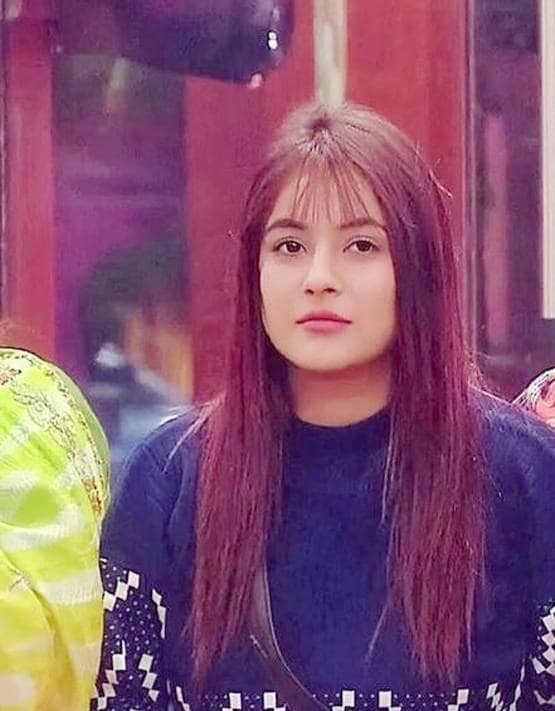 BB13: फिनाले से पहले बिग बॉस ने पूरी की शहनाज की हर ख्वाहिश