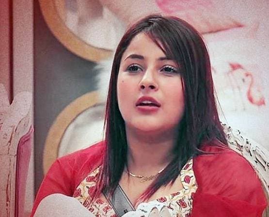BB13: फिनाले से पहले बिग बॉस ने पूरी की शहनाज की हर ख्वाहिश