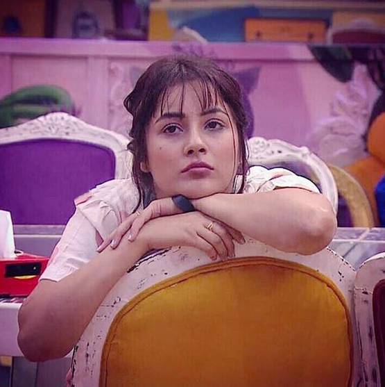 BB13: फिनाले से पहले बिग बॉस ने पूरी की शहनाज की हर ख्वाहिश