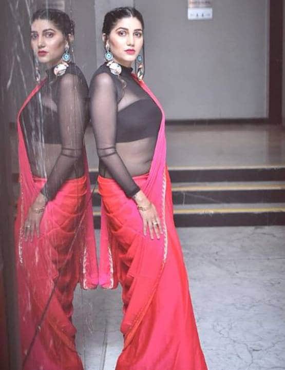 साड़ी में सपना चौधरी का ग्लैमरस अवतार, फोटो देख लोगों ने कहा- हाय!