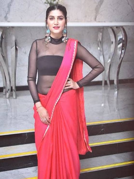 साड़ी में सपना चौधरी का ग्लैमरस अवतार, फोटो देख लोगों ने कहा- हाय!