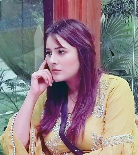 शहनाज की शादी से नाराज हैं फैन्स, बोले- बचा लो सलमान, ये गलत बात है