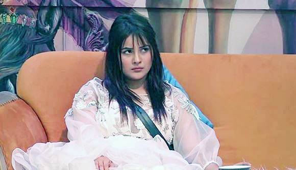 शहनाज की शादी से नाराज हैं फैन्स, बोले- बचा लो सलमान, ये गलत बात है