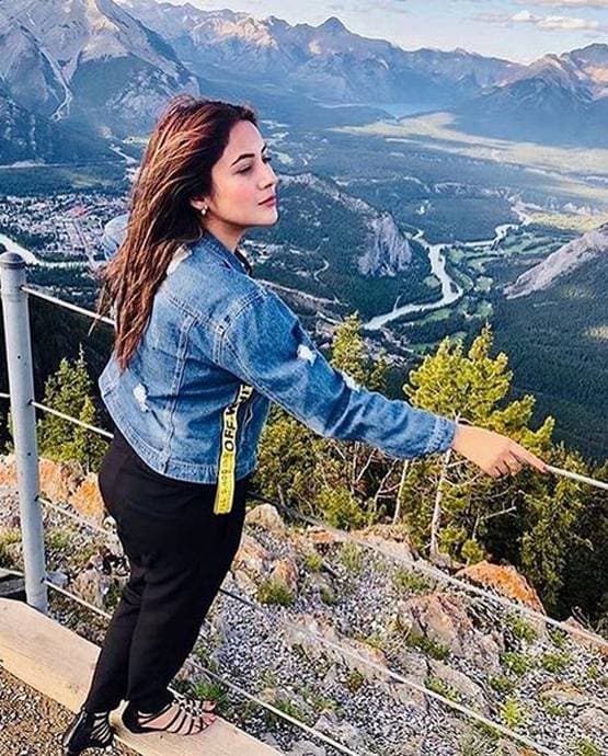 शहनाज की शादी से नाराज हैं फैन्स, बोले- बचा लो सलमान, ये गलत बात है