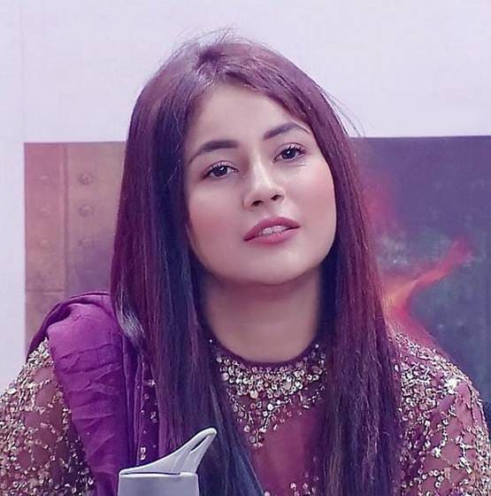 शहनाज की शादी से नाराज हैं फैन्स, बोले- बचा लो सलमान, ये गलत बात है