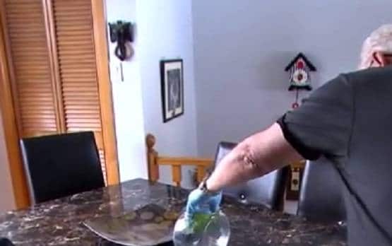 बाजार से शिमला मिर्च खरीदकर लाया कपल, जैसे ही काटा ये जीव