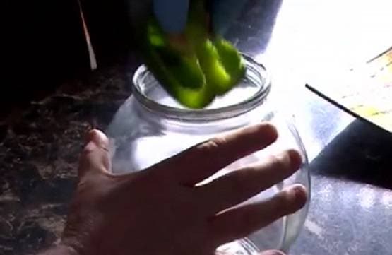 बाजार से शिमला मिर्च खरीदकर लाया कपल, जैसे ही काटा ये जीव