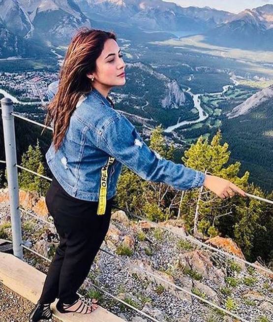 एविक्शन के डर से डिप्रेशन में शहनाज, सिद्धार्थ शुक्ला ने दिया सहारा