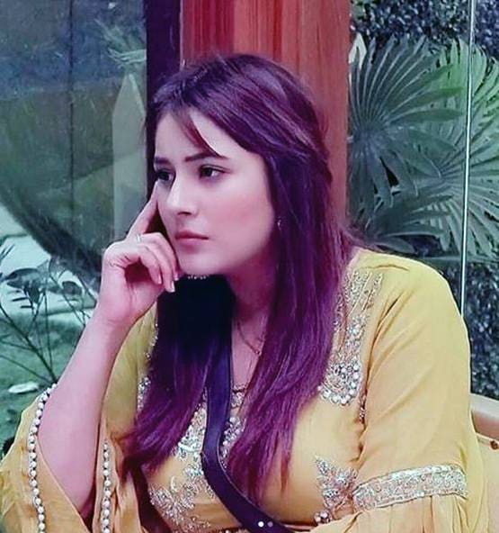 एविक्शन के डर से डिप्रेशन में शहनाज, सिद्धार्थ शुक्ला ने दिया सहारा